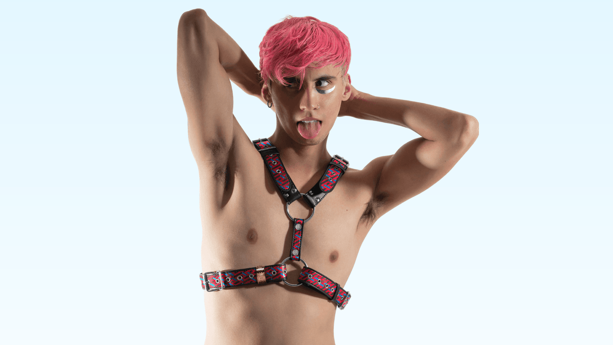 Gay Harness Guide 2023: Top Styles & Brands