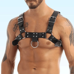 Where to Get Fashion Harness? Click for the Ultimate Source!