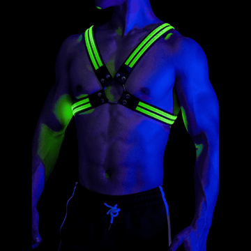 LED Harness Rave: The Ultimate Party Accessory