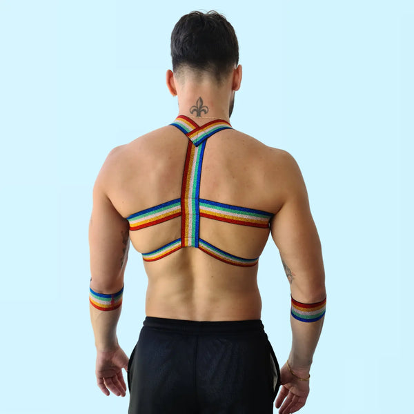 rainbow elastic gay mens harness