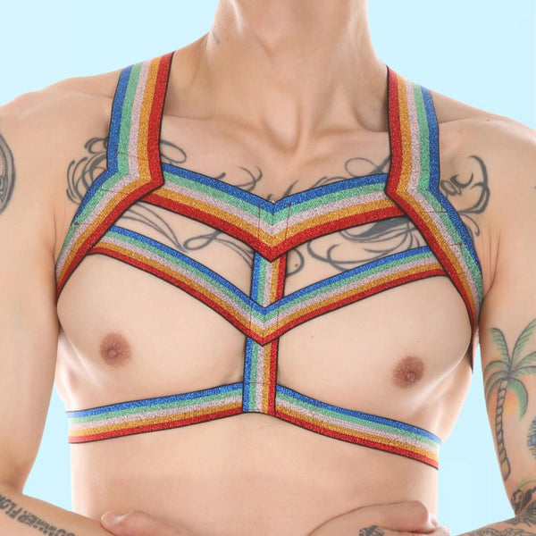 rainbow-elastic-gay mens-harness